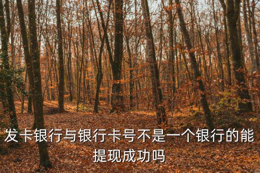 發卡銀行，發卡銀行是什么意思