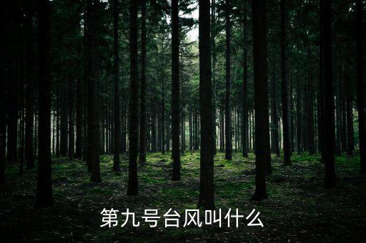 第九號臺風叫什么