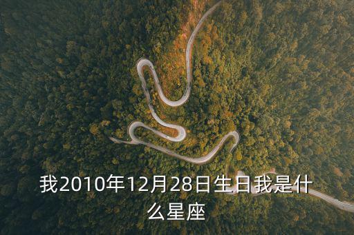我2010年12月28日生日我是什么星座