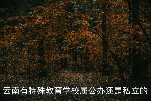特殊教育學(xué)校，什么是特殊教育學(xué)校