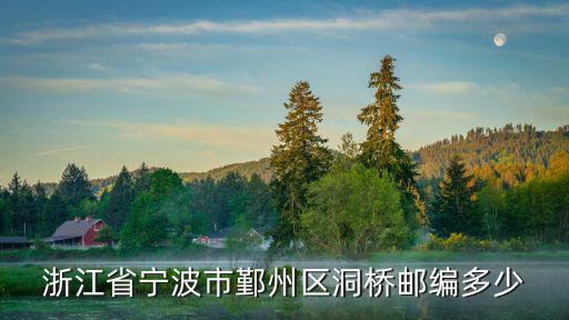 浙江省寧波市鄞州區洞橋郵編多少