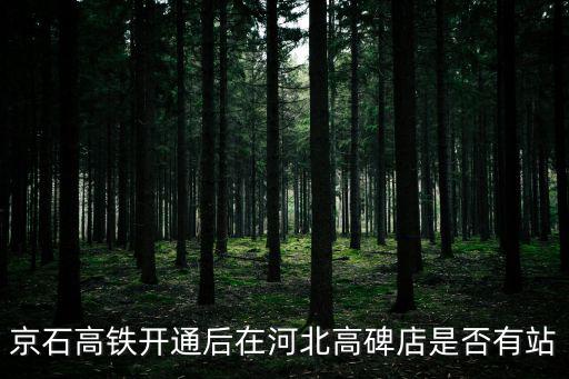 京石高鐵開(kāi)通后在河北高碑店是否有站