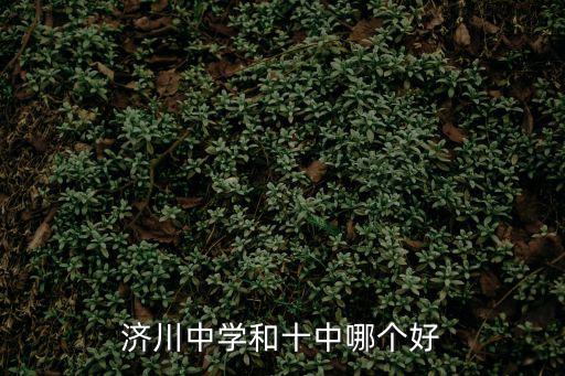 濟(jì)川中學(xué)和十中哪個(gè)好