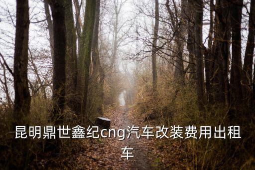 出租車公司電話，昆明鼎世鑫紀(jì)cng汽車改裝費(fèi)用出租車