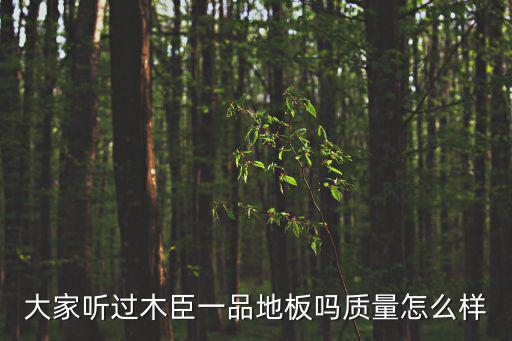 大家聽過木臣一品地板嗎質量怎么樣