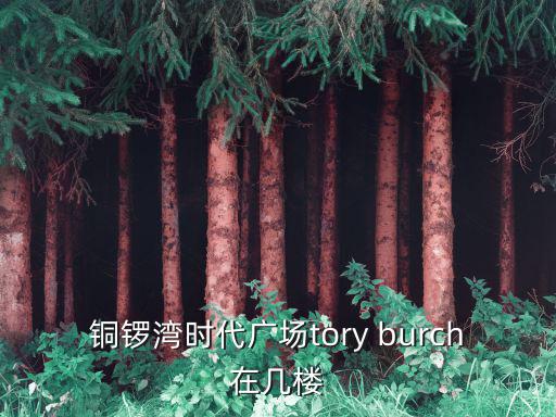 銅鑼灣時代廣場，銅鑼灣時代廣場tory burch在幾樓