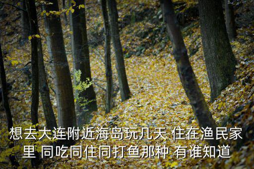 想去大連附近海島玩幾天 住在漁民家里 同吃同住同打魚那種 有誰知道