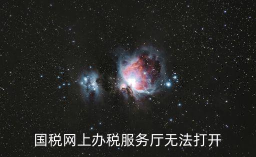 國稅網上辦稅服務廳無法打開