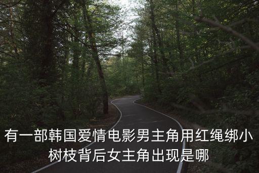 有一部韓國愛情電影男主角用紅繩綁小樹枝背后女主角出現是哪