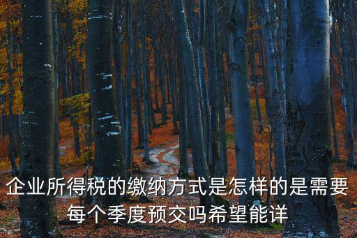 企業所得稅怎么交，怎樣在網上交企業所得稅