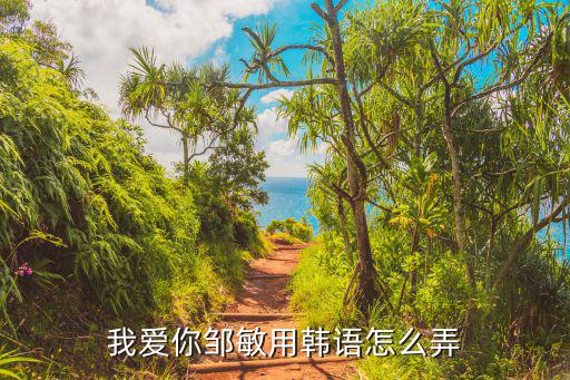 我愛你鄒敏用韓語怎么弄
