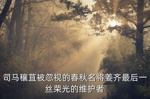 司馬穰苴被忽視的春秋名將姜齊最后一絲榮光的維護者