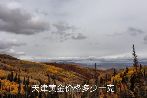天津黃金價(jià)格多少一克