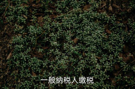 一般納稅人繳稅