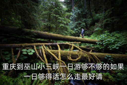 重慶到巫山小三峽一日游夠不夠的如果一日夠得話怎么走最好請