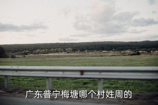 廣東普寧梅塘哪個村姓周的