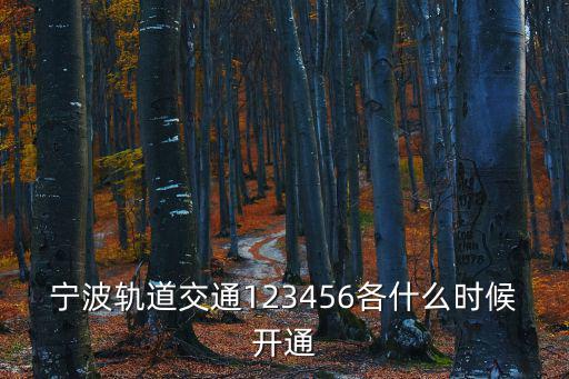 寧波軌道交通123456各什么時候開通