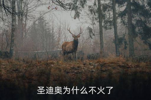 圣迪奧為什么不火了