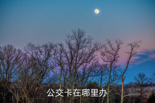 公交卡在哪里辦