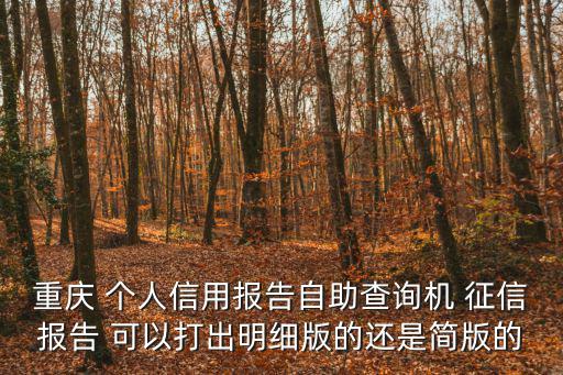 征信自助查詢機(jī)，自助查征信能打詳細(xì)的嗎