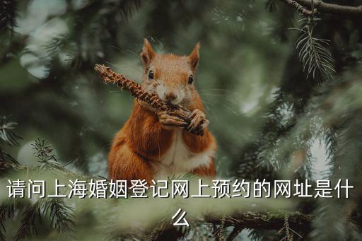 請問上海婚姻登記網(wǎng)上預(yù)約的網(wǎng)址是什么