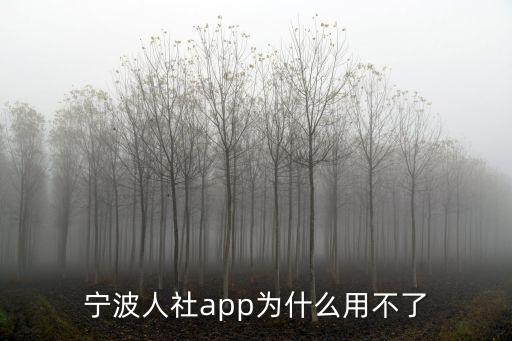 寧波人社，寧波個人社保查詢