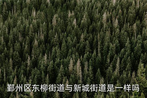 鄞州區(qū)東柳街道與新城街道是一樣嗎