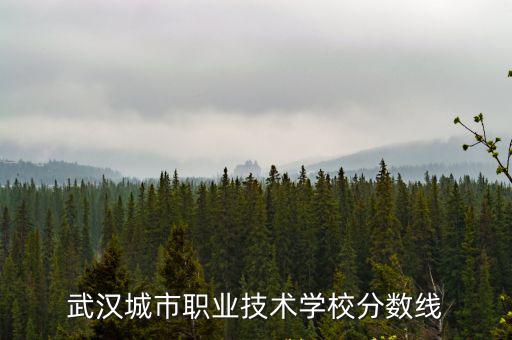 武漢城市職業技術學校分數線