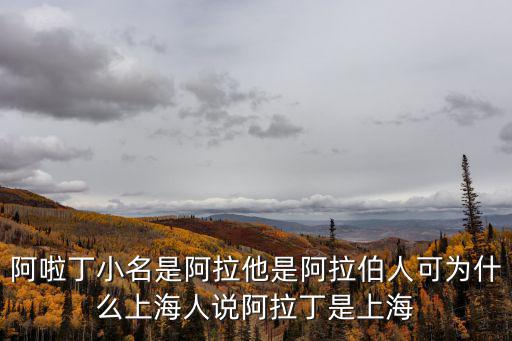 阿啦丁小名是阿拉他是阿拉伯人可為什么上海人說阿拉丁是上海