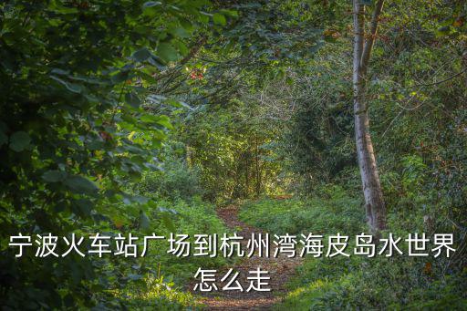 寧波火車站廣場到杭州灣海皮島水世界怎么走