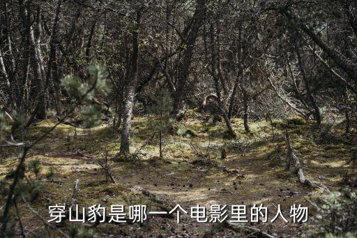 代號山豹，烏龍山剿匪記山豹誰演的