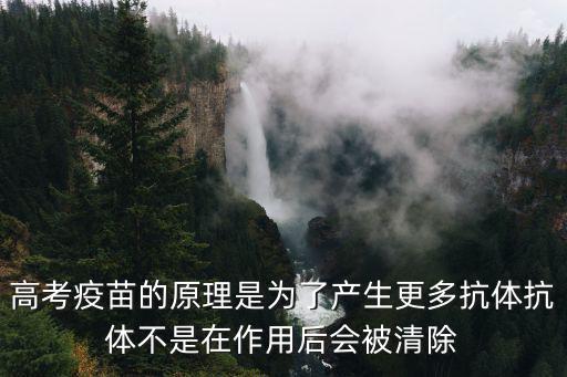 高考疫苗的原理是為了產(chǎn)生更多抗體抗體不是在作用后會被清除