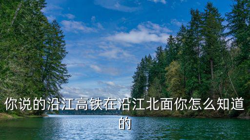 你說的沿江高鐵在沿江北面你怎么知道的