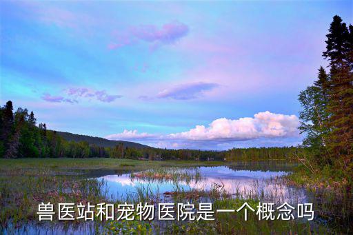 獸醫(yī)站，玉溪市紅塔區(qū)的獸醫(yī)站