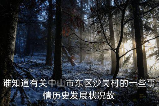 誰知道有關(guān)中山市東區(qū)沙崗村的一些事情歷史發(fā)展狀況故