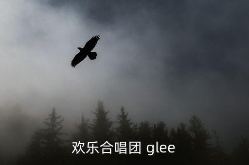歡樂合唱團(tuán) glee