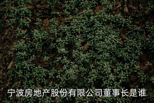 寧波房地產股份有限公司董事長是誰