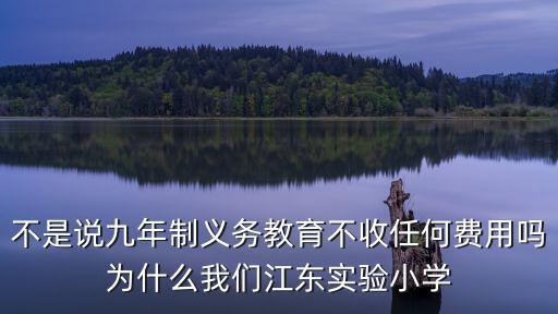 江東實驗小學，南充江東實驗小學如何