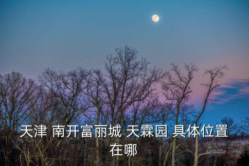 天津富力城天霖園，天津市南開區富麗城天霖園八號樓702是什么公司