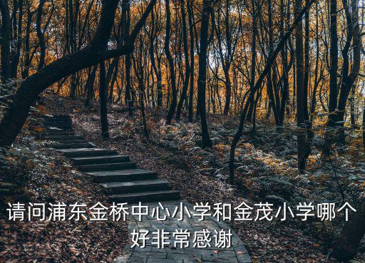 請問浦東金橋中心小學和金茂小學哪個好非常感謝