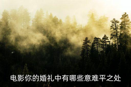電影你的婚禮中有哪些意難平之處