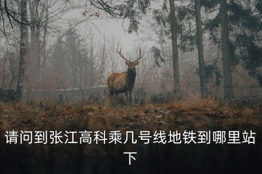 張江高科地鐵站，請(qǐng)問(wèn)到張江高科乘幾號(hào)線地鐵到哪里站下