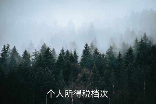 個人所得稅檔次