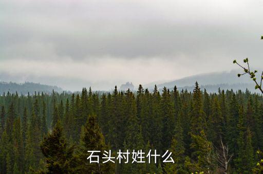 石頭村，石頭村姓什么