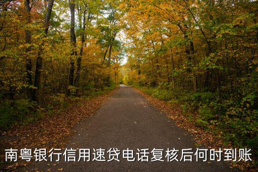 南粵銀行信用速貸電話復核后何時到賬