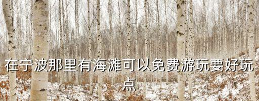 在寧波那里有海灘可以免費(fèi)游玩要好玩點(diǎn)