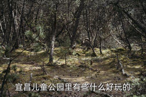宜昌兒童公園里有些什么好玩的