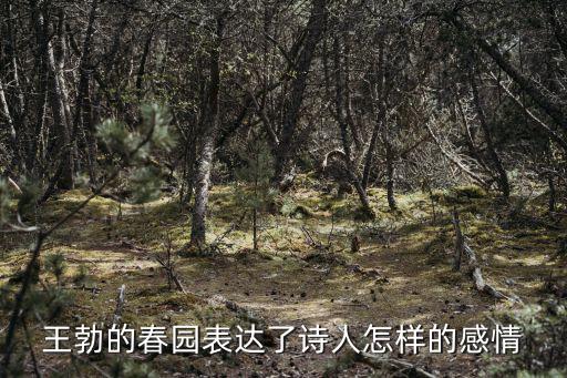 王勃的春園表達了詩人怎樣的感情