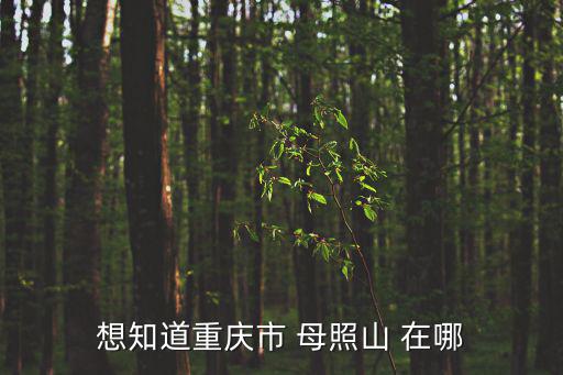 想知道重慶市 母照山 在哪