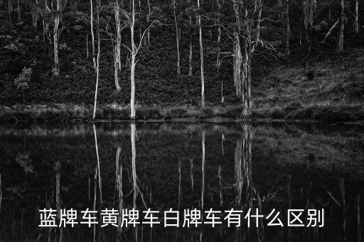 藍牌車黃牌車白牌車有什么區別